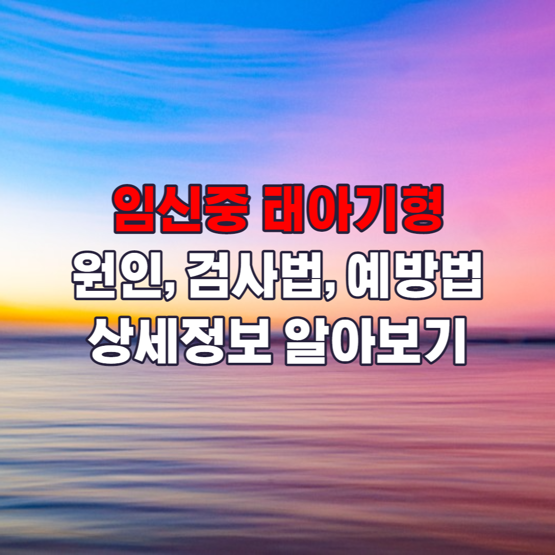 태아기형검사방법